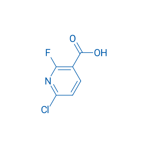 6-Chloro-2-fluoronicotinic acid 5g
