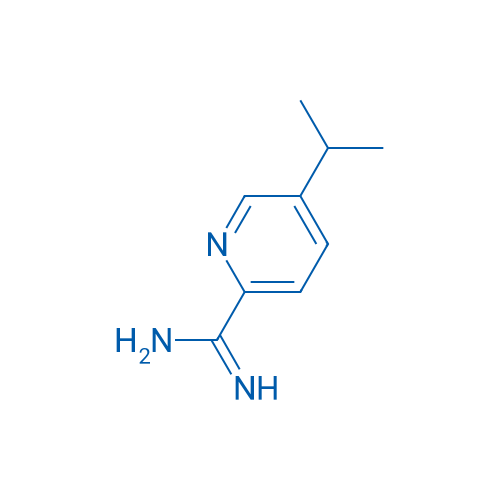 5-Isopropylpicolinimidamide 1g