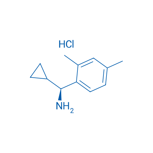 (S)-Cyclopropyl(2,4-dimethylphenyl)methanamine hydrochloride 1g