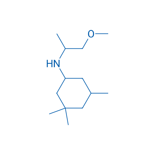 N-(1-Methoxypropan-2-yl)-3,3,5-trimethylcyclohexan-1-amine 250mg