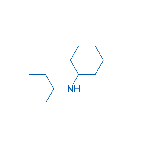 N-(Butan-2-yl)-3-methylcyclohexan-1-amine 100mg