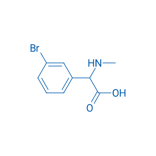 2-(3-Bromophenyl)-2-(methylamino)acetic acid 1g