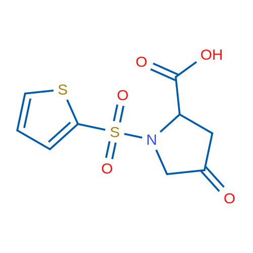 4-Oxo-1-(thiophene-2-sulfonyl)pyrrolidine-2-carboxylic acid 1g
