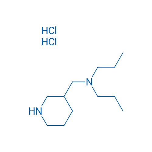 N-(Piperidin-3-ylmethyl)-N-propylpropan-1-amine dihydrochloride 1g