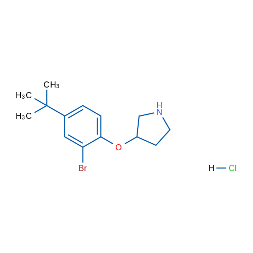 3-(2-Bromo-4-(tert-butyl)phenoxy)pyrrolidine hydrochloride 1g