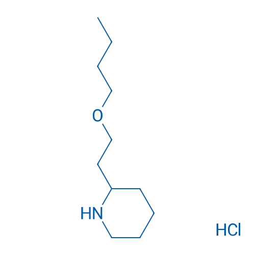 2-(2-Butoxyethyl)piperidine hydrochloride 1g