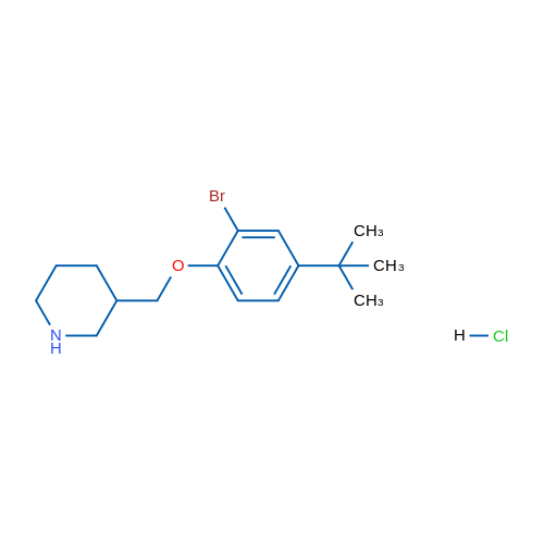 3-((2-Bromo-4-(tert-butyl)phenoxy)methyl)piperidine hydrochloride 1g