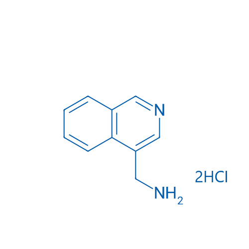 Isoquinolin-4-ylmethanamine dihydrochloride 1g