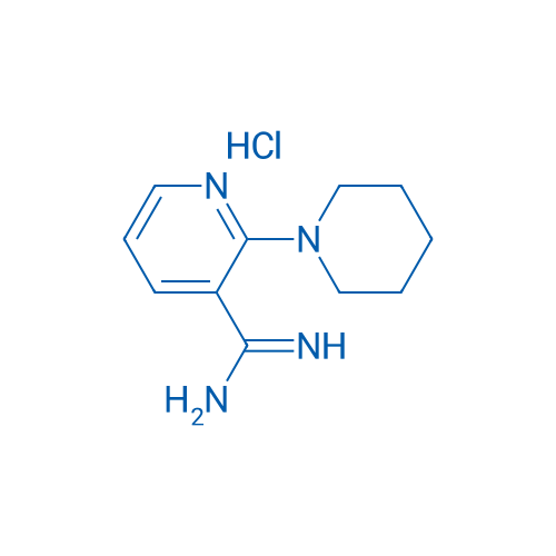 2-(Piperidin-1-yl)pyridine-3-carboximidamide hydrochloride 1g