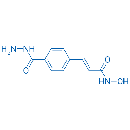 (E)-3-(4-(Hydrazinecarbonyl)phenyl)-N-hydroxyacrylamide 250mg