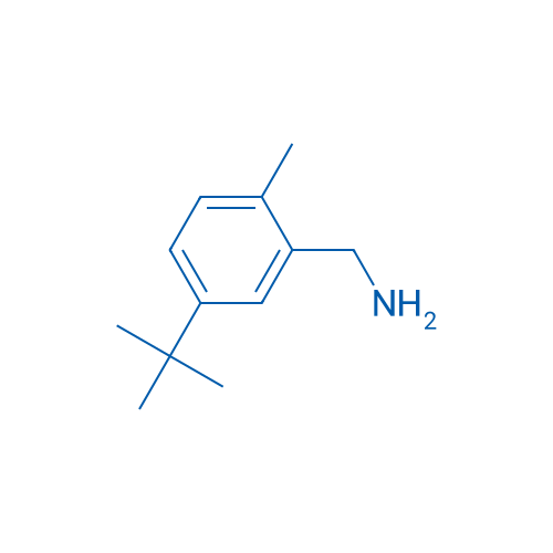 (5-(tert-Butyl)-2-methylphenyl)methanamine 1g