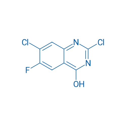 2,7-Dichloro-6-fluoroquinazolin-4(3H)-one 10g