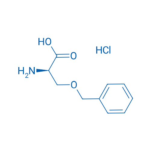 H-D-Ser(Bzl)-OH·HCl 25g