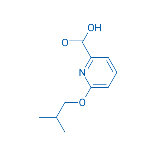 6-Isobutoxypicolinic acid 1g