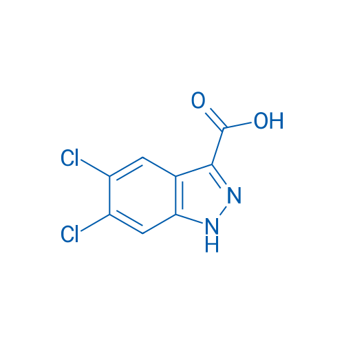 5,6-Dichloro-1H-indazole-3-carboxylic acid 100mg