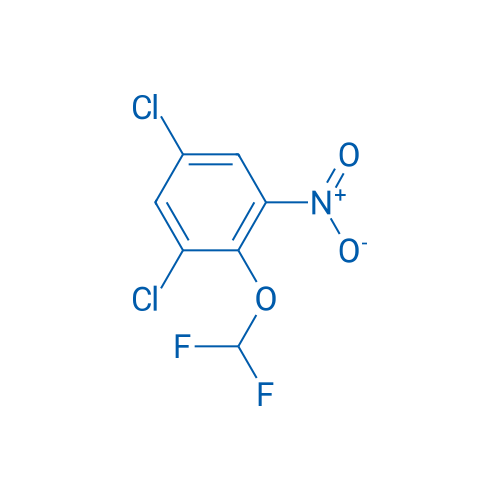 1,5-Dichloro-2-difluoromethoxy-3-nitrobenzene 1g