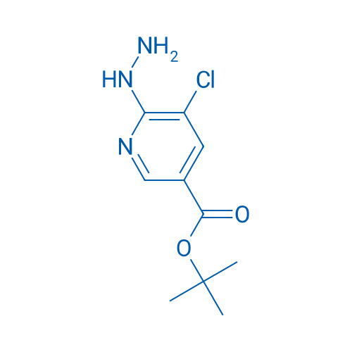 tert-Butyl 5-chloro-6-hydrazinylpyridine-3-carboxylate 1g
