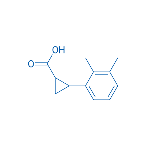 2-(2,3-Dimethylphenyl)cyclopropane-1-carboxylic acid 1g