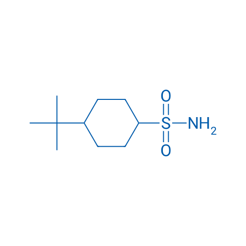 4-tert-Butylcyclohexane-1-sulfonamide 1g