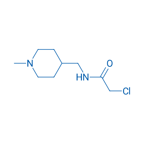 2-Chloro-N-((1-methylpiperidin-4-yl)methyl)acetamide 1g
