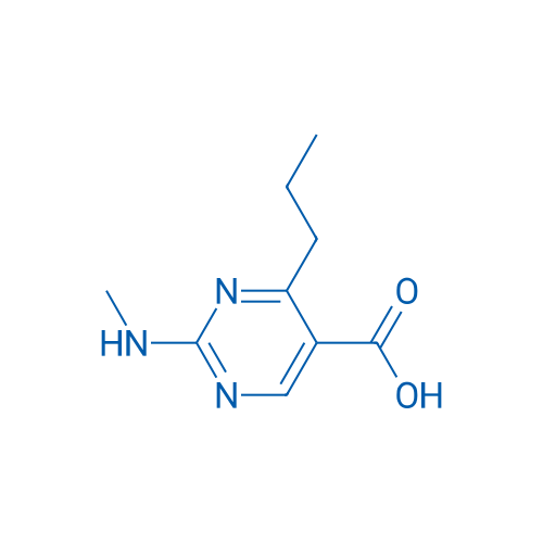 2-(Methylamino)-4-propylpyrimidine-5-carboxylic acid 1g