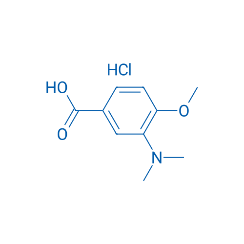 3-(Dimethylamino)-4-methoxybenzoic acid hydrochloride 1g