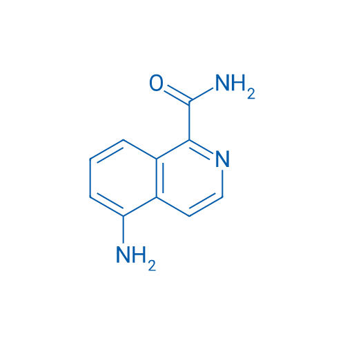 5-Aminoisoquinoline-1-carboxamide 1g