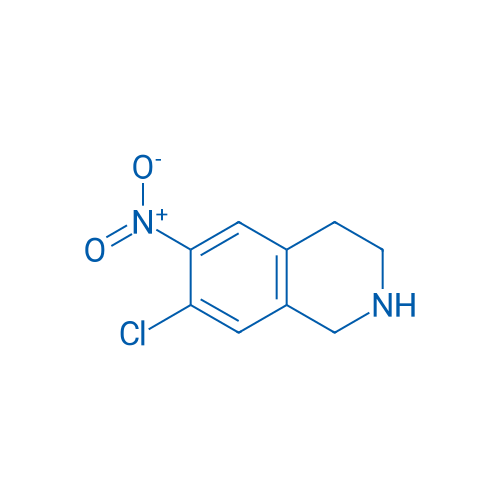 7-Chloro-6-nitro-1,2,3,4-tetrahydroisoquinoline 100mg