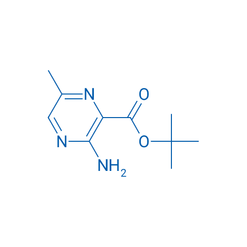 tert-Butyl 3-amino-6-methylpyrazine-2-carboxylate 1g