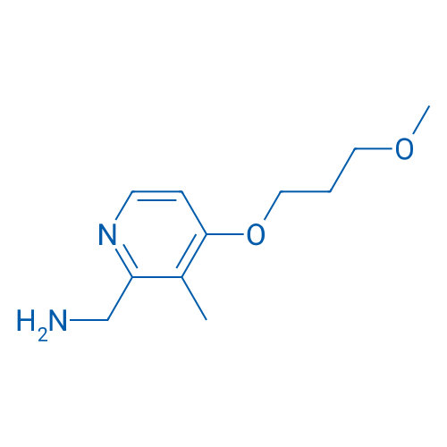 (4-(3-Methoxypropoxy)-3-methylpyridin-2-yl)methanamine 1g