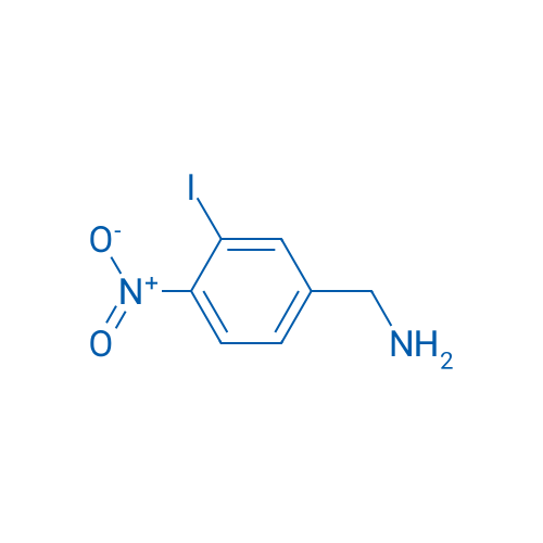 (3-Iodo-4-nitrophenyl)methanamine 1g