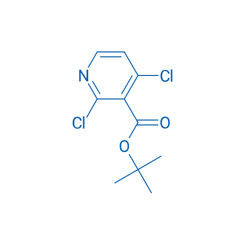 tert-Butyl 2,4-dichloronicotinate 250mg