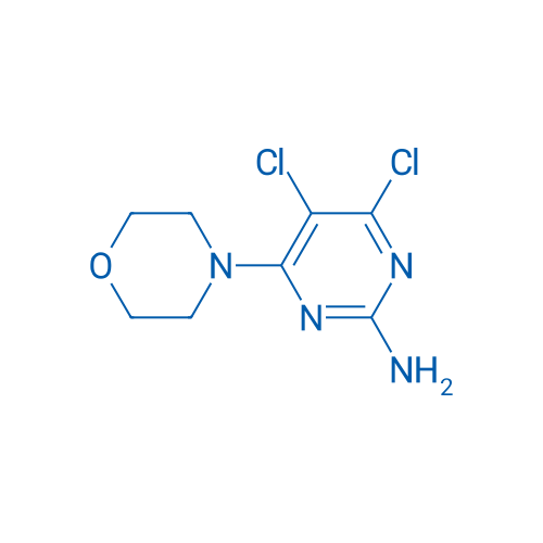 4,5-Dichloro-6-morpholinopyrimidin-2-amine 1g