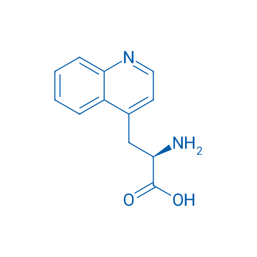 (R)-2-Amino-3-(quinolin-4-yl)propanoic acid 1g