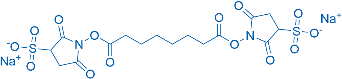 BS3 Crosslinker disodium 100mg