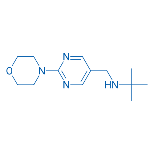 2-Methyl-N-((2-morpholinopyrimidin-5-yl)methyl)propan-2-amine 1g