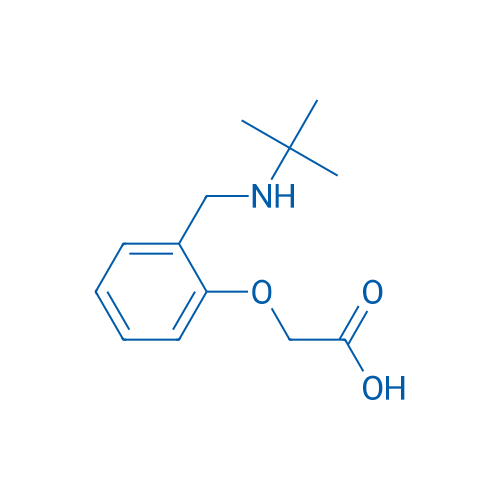 2-(2-((tert-Butylamino)methyl)phenoxy)acetic acid 1g