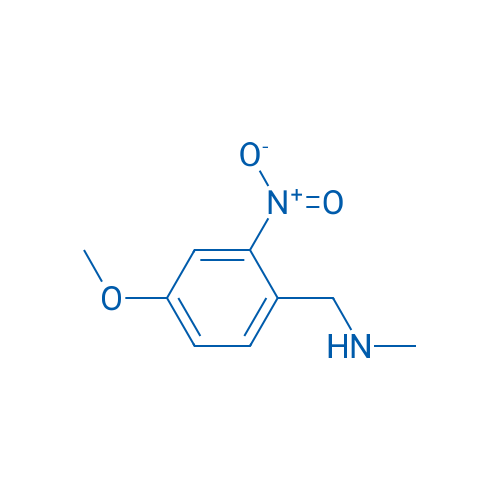 N-(4-Methoxy-2-nitrobenzyl)-N-methylamine 1g