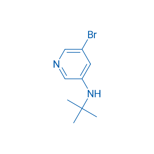 5-Bromo-N-tert-butylpyridin-3-amine 1g