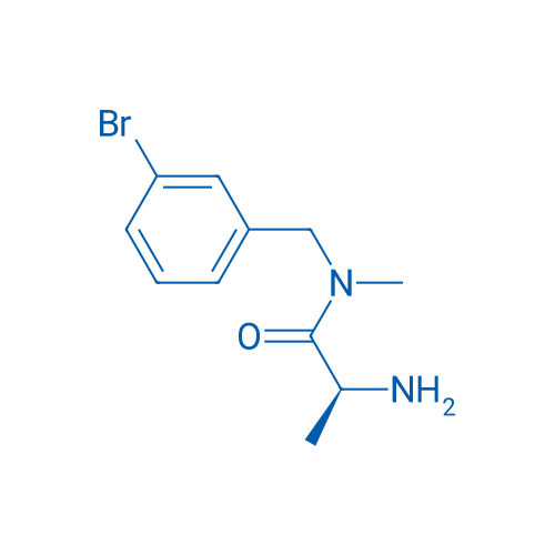(S)-2-Amino-N-(3-bromobenzyl)-N-methylpropanamide 1g