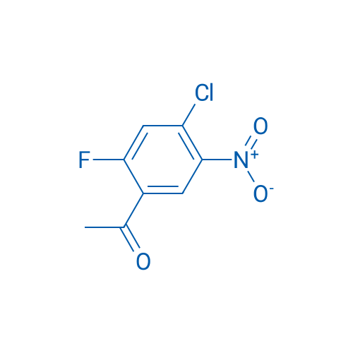 1-(4-Chloro-2-fluoro-5-nitrophenyl)ethanone 1g