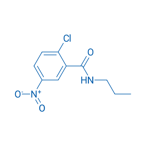 2-CHloro-5-nitro-n-propylbenzamide 1g