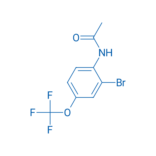 N-(2-Bromo-4-(trifluoromethoxy)phenyl)acetamide 25g