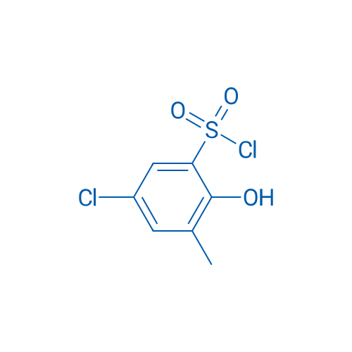 5-Chloro-2-hydroxy-3-methylbenzene-1-sulfonyl chloride 1g