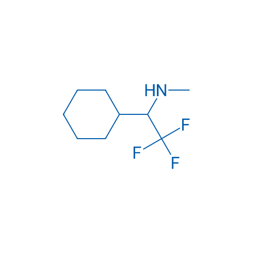 1-Cyclohexyl-2,2,2-trifluoro-N-methylethan-1-amine 1g