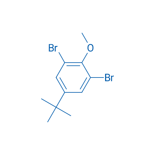 1,3-Dibromo-5-tert-butyl-2-methoxybenzene 100g
