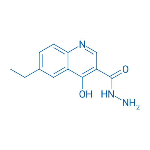 6-Ethyl-4-hydroxyquinoline-3-carbohydrazide 1g