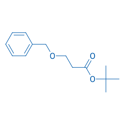 tert-Butyl 3-(benzyloxy)propanoate 1g
