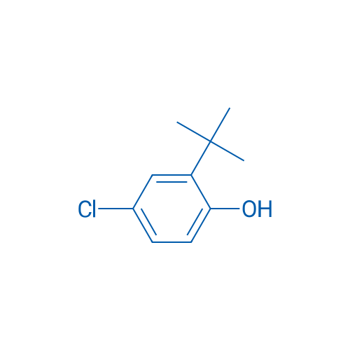 2-(tert-Butyl)-4-chlorophenol 100mg