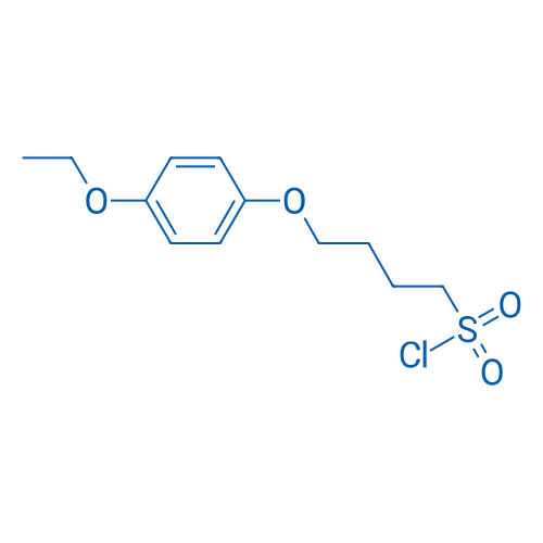 4-(4-Ethoxyphenoxy)butane-1-sulfonyl chloride 1g